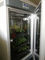 식물 생장상 인공 기후 종자 발아 기계 식물 성장 박스 인큐베이터