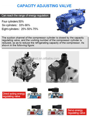 대용량 환경 워크인 기후 챔버 제조 습도 제어 온도 테스트 룸