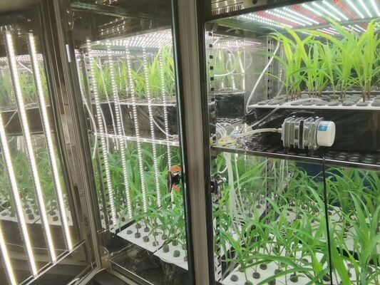 LIYI 가격 2면 3면 환경 인공 기후 테스트 조명 식물 성장 인큐베이터 챔버 판매